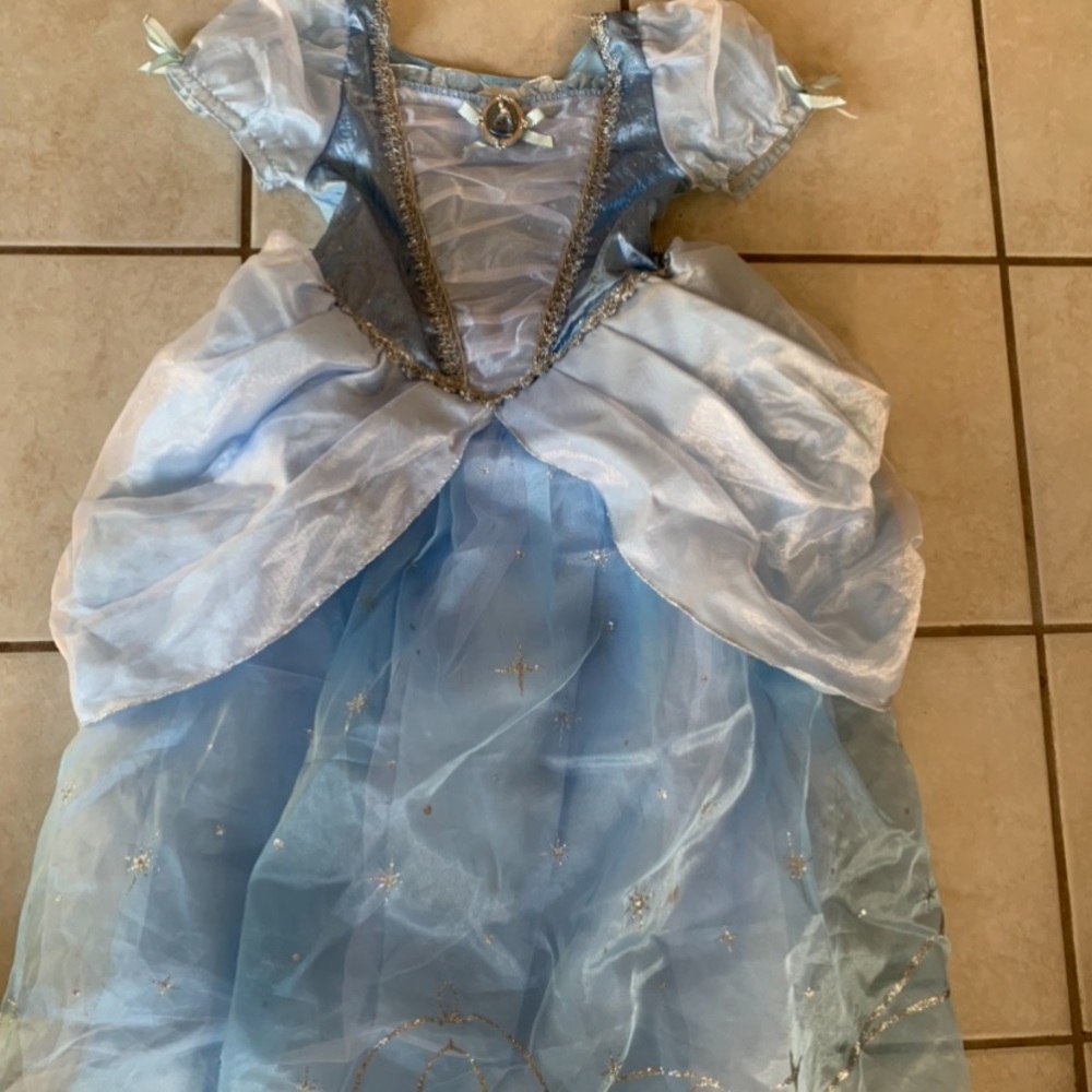 Cinderella Dress